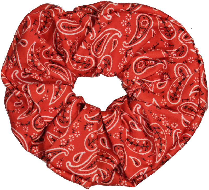 SC4024 DACEE PAISLEY SCRUNCHY